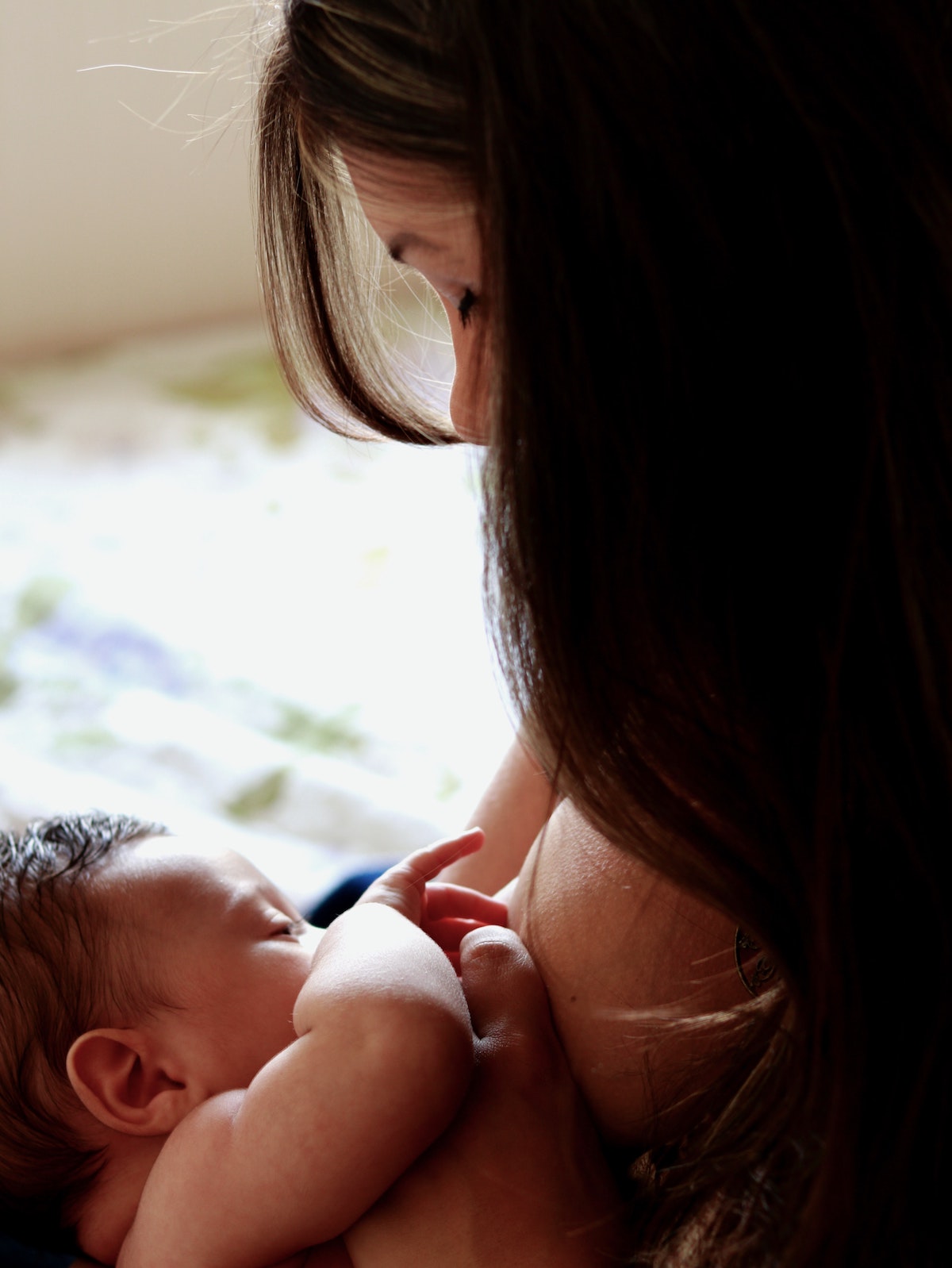 luiza-braun-hdmGreHJPZ8-unsplash copie